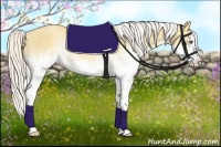 Horse Color:White Spotted Silver Classic Cream Champagne Dun Splash 