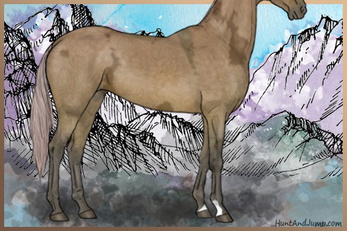 Horse Color:Silver Brown Ice Dun