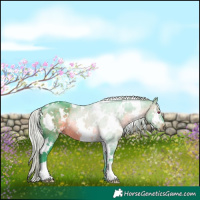 Horse Color:Watercolor White Spotted Silver Brown Chinchilla 