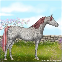 Horse Color:Painted Smoky Creme Ice Onyx 