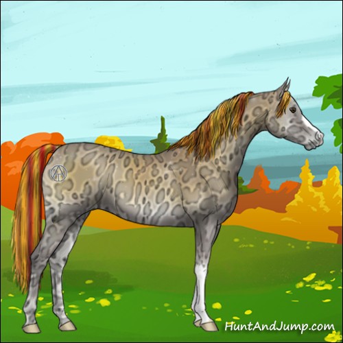 Horse Color:Painted Buckskin Ice Onyx 
