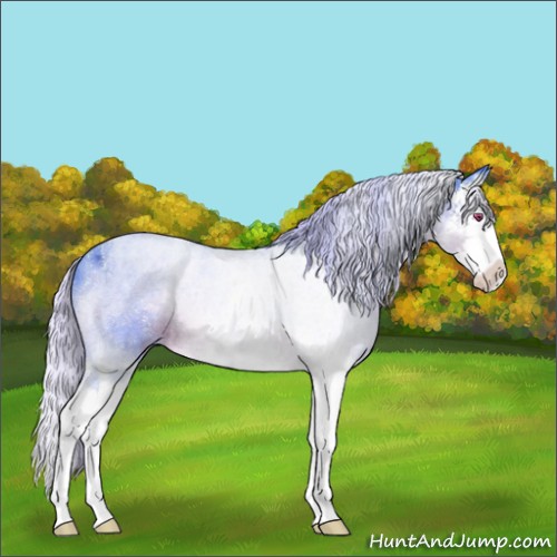 Horse Color:Watercolor Silver Brown Chinchilla Ice Splash