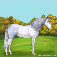 Horse Color:Watercolor Silver Brown Chinchilla Ice Splash