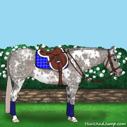 Horse Color:White Spotted Silver Black Ice Rabicano 