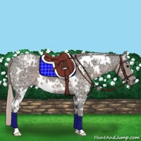 Horse Color:White Spotted Silver Black Ice Rabicano