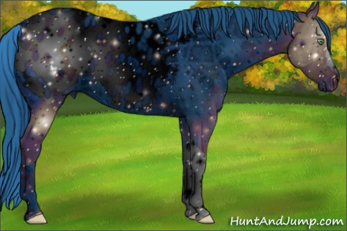 Horse Color:ERROR: UNKNOWN ANOMALY
