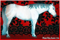 Horse Color:Gray Thunderstruck Bay 