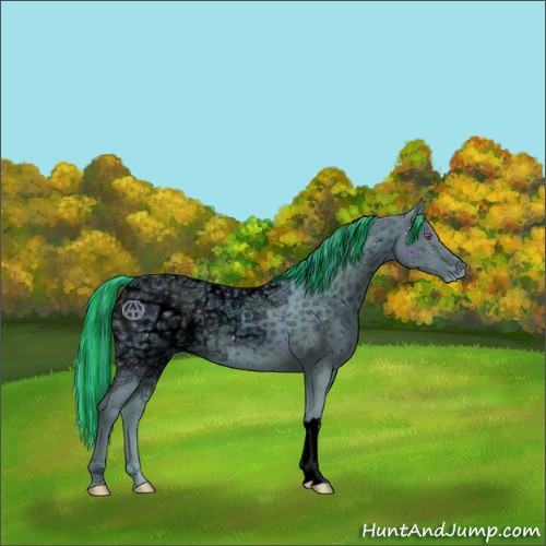 Horse Color:ERROR: UNKNOWN ANOMALY