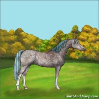 Horse Color:Painted Chocolate Silver Black Chinchilla Ice 