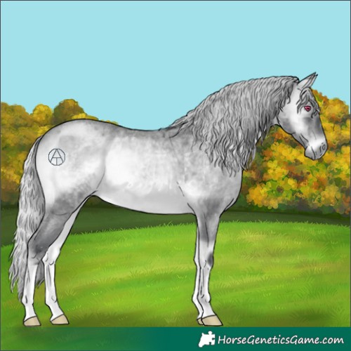 Horse Color:Silver Brown Chinchilla Roan Onyx 