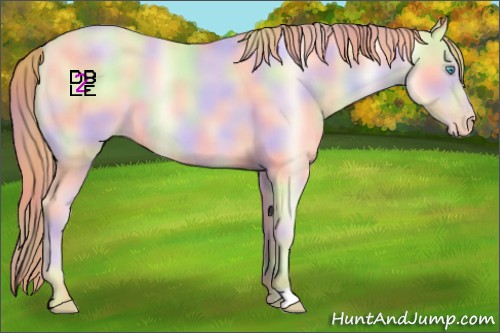 Horse Color:Nacre Amber Cream Champagne Pearl