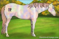Horse Color:Nacre Amber Cream Champagne Pearl