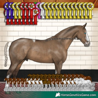 Horse Color:Gray Silver Grullo Sabino Splash Tobiano Rabicano 