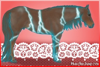 Horse Color:Gray Thunderstruck Red Roan