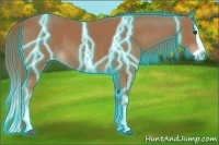 Horse Color:Thunderstruck Chestnut Splash