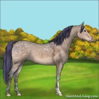 Horse Color:Painted Brown Ice Dun 