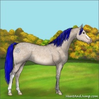Horse Color:Painted Brown Ice Dun 