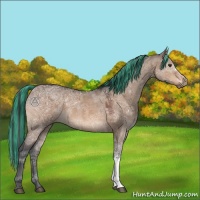 Horse Color:Painted Brown Ice Dun 