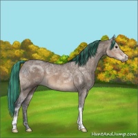 Horse Color:Painted Brown Ice Dun 