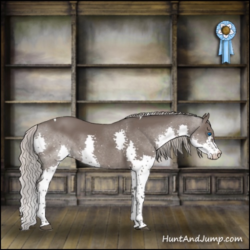 Horse Color:Silver Black Splash Tobiano 