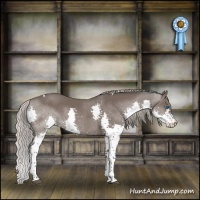 Horse Color:Silver Black Splash Tobiano 