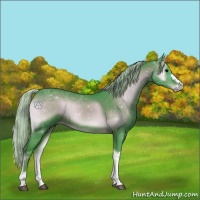 Horse Color:Watercolor Silver Brown Onyx 