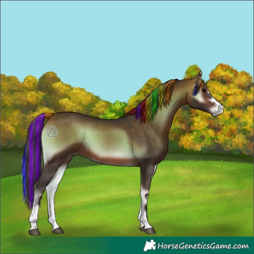 Horse Color:Painted Bay Onyx 