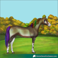 Horse Color:Painted Bay Onyx 