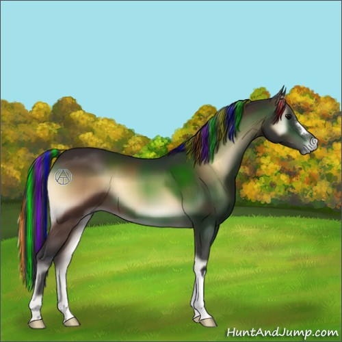 Horse Color:Painted Bay Onyx 