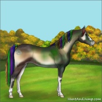 Horse Color:Painted Bay Onyx 