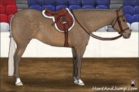 Horse Color:Silver Buckskin 
