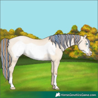 Horse Color:Painted Buckskin Pearl Dun Frame