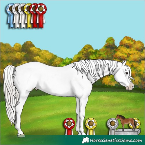 Horse Color:Silver Bay Snowcap