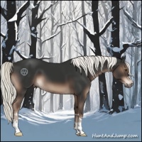 Horse Color:Liver Chestnut Mushroom 