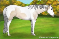 Horse Color:Brown Roan Dun Splash Tobiano 