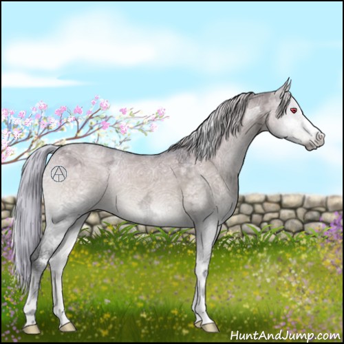 Horse Color:Silver Brown Chinchilla Ice Onyx 