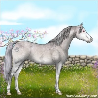 Horse Color:Silver Brown Chinchilla Ice Onyx 