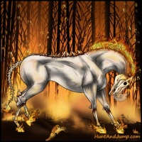 Horse Color:Silver Amber Cream Champagne Pearl