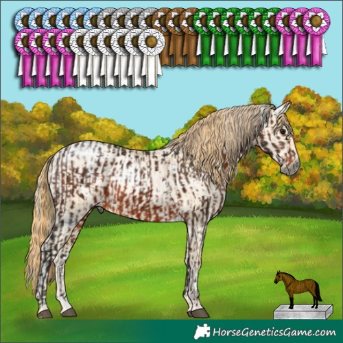 Horse Color:Gray White Spotted Silver Brown Splash Rabicano and White Spotted Buckskin Pearl Dun Rabicano