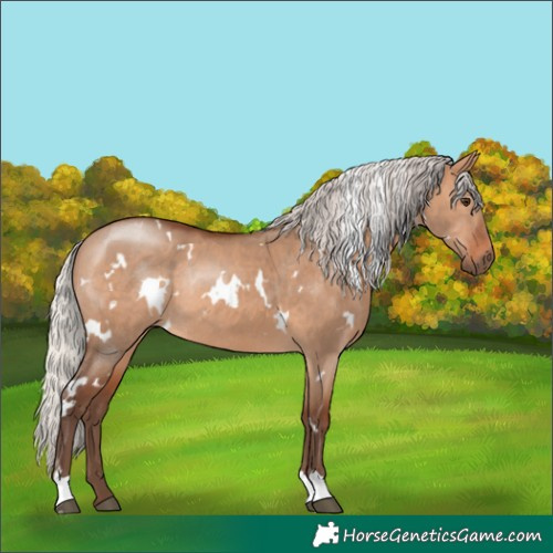 Horse Color:White Spotted Silver Brown Dun Rabicano 