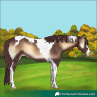 Horse Color:Chocolate Brown Onyx Tobiano 