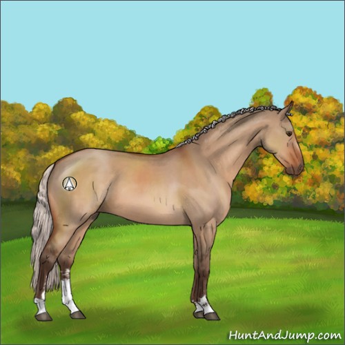 Horse Color:Silver Brown Dun Sabino