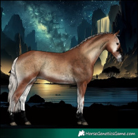 Horse Color:Void Silver Blue Onyx 
