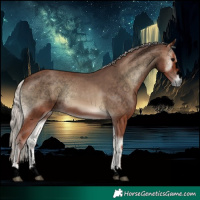 Horse Color:Void Silver Blue Onyx 