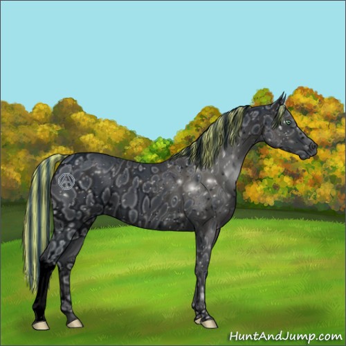 Horse Color:ERROR: UNKNOWN ANOMALY
