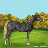 Horse Color:Painted Midnight Perlino Ice Onyx 