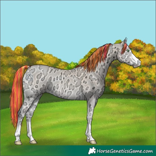 Horse Color:Painted Perlino Ice Onyx 