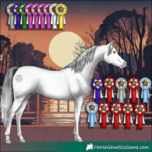 Horse Color:Brown Sabino