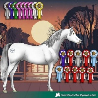 Horse Color:Brown Sabino