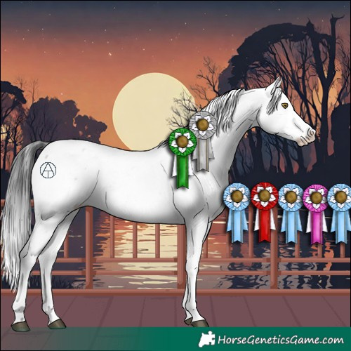 Horse Color:Brown Sabino